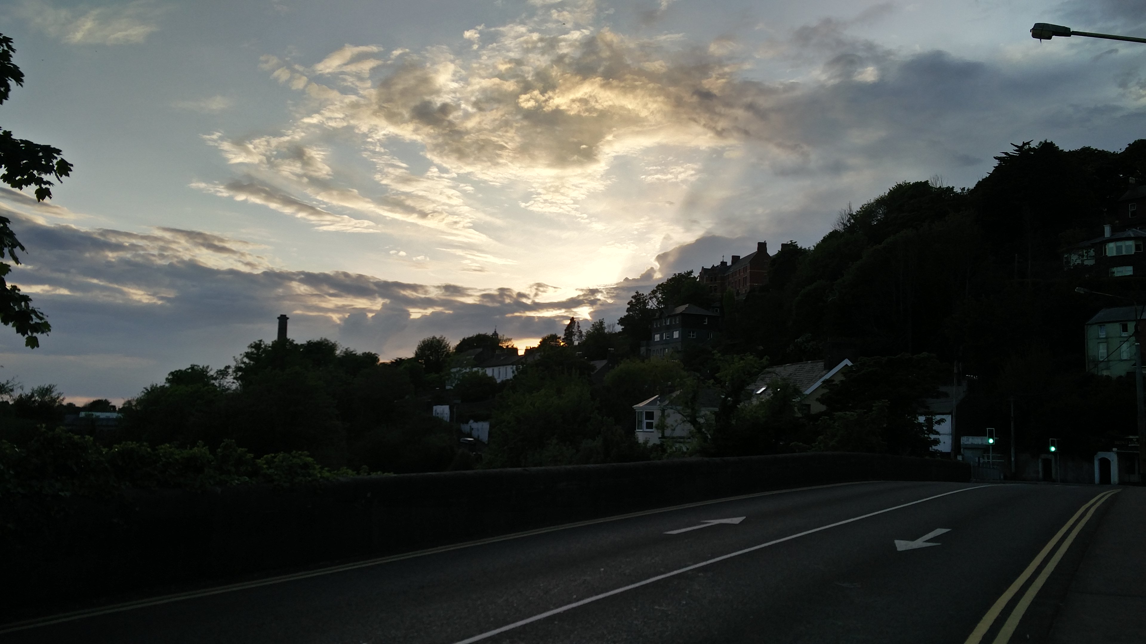 #1 - Bats on the River Lee