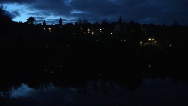 #4 - Leisler Bats on the River Lee